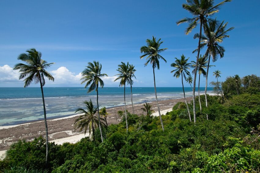 Diani